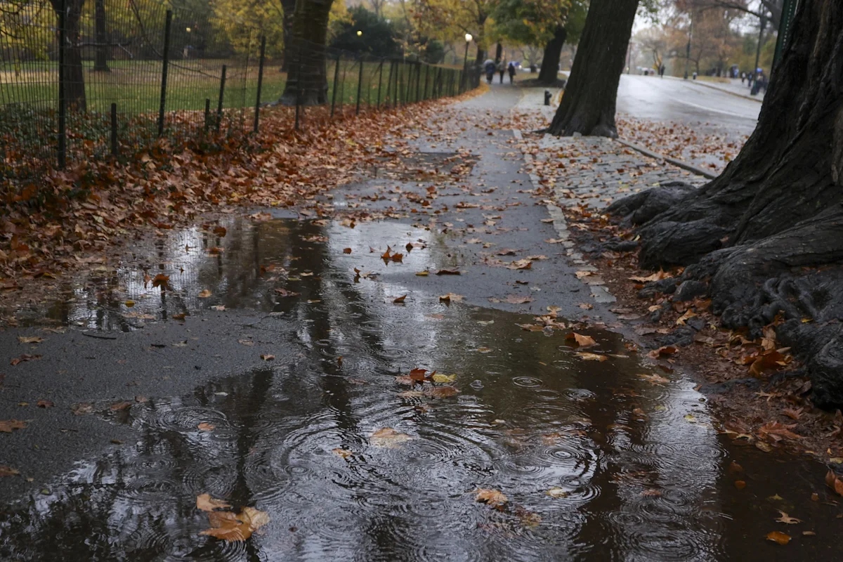 Nueva York, Estados Unidos, clima MundoNOW