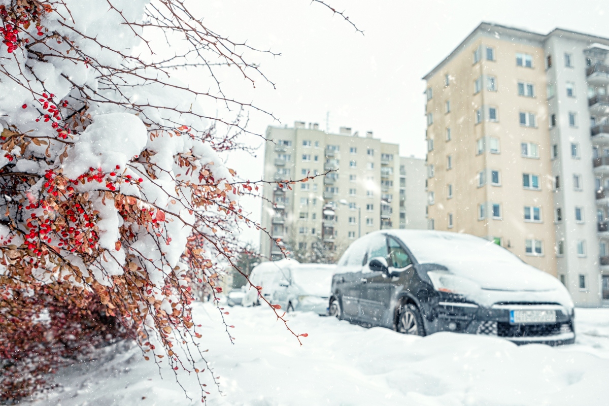 invierno, vórtice polar, NOAA MundoNOW
